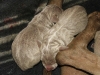 DSCF3123_800